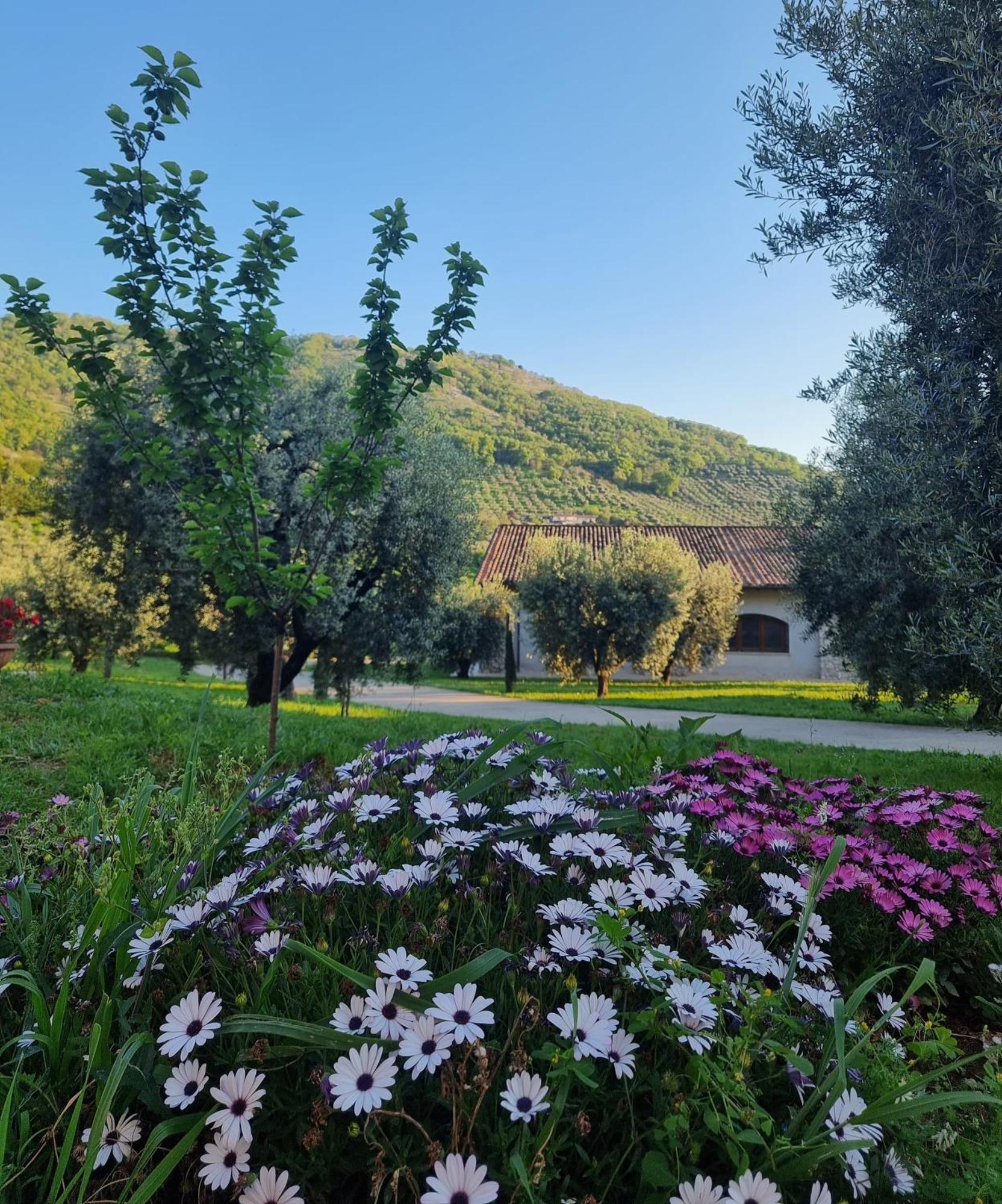 Bed and Breakfast Casale Dei Priori Rocca Massima Exteriér fotografie